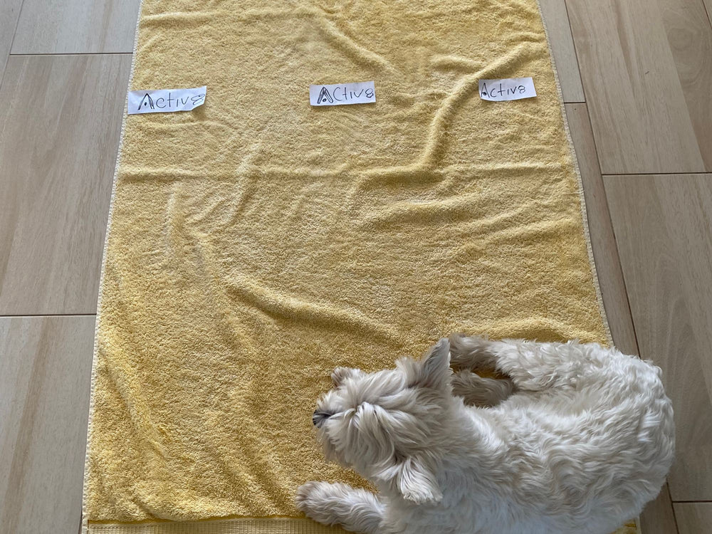 Paper logo labels laid out on a yellow towel to test placement, with a Westie asleep on it
