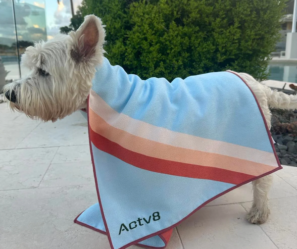 Introducing the Actv8 Car Seat towel for your Furry companion!