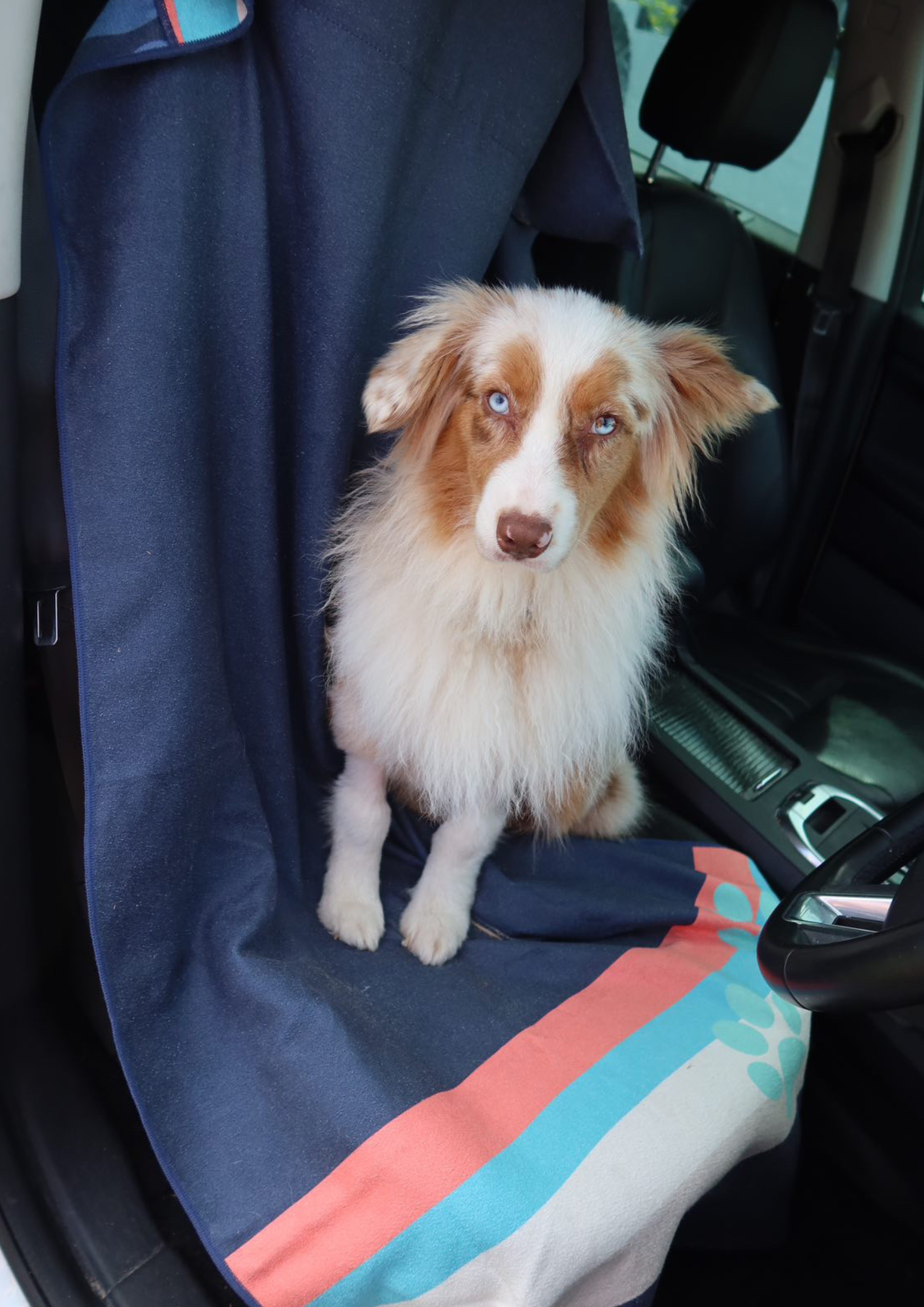 Why Every Dog Owner Needs a Car Seat Towel (Yes, Even Yours)
