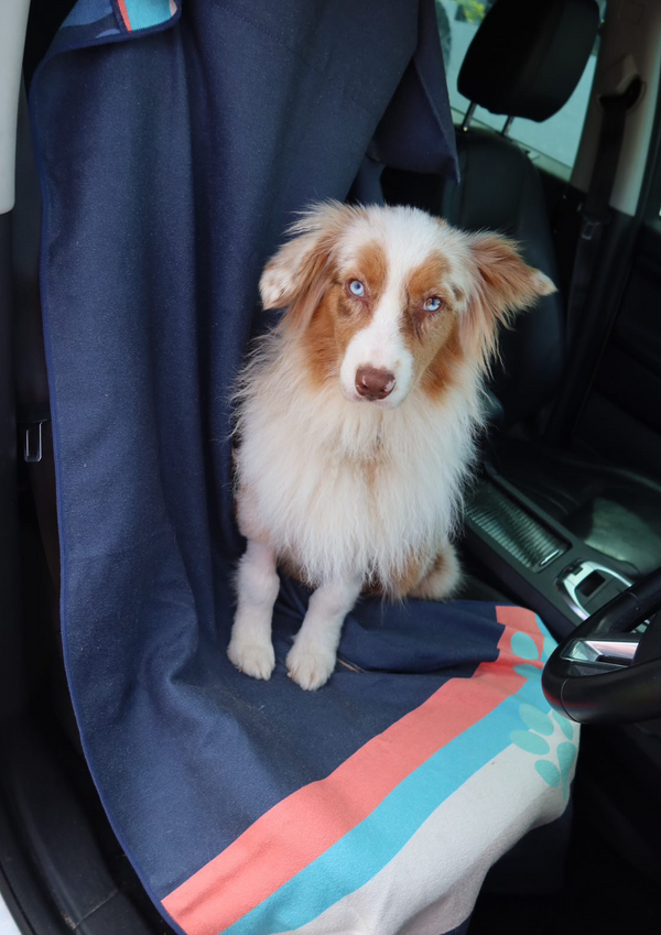 Why Every Dog Owner Needs a Car Seat Towel (Yes, Even Yours)