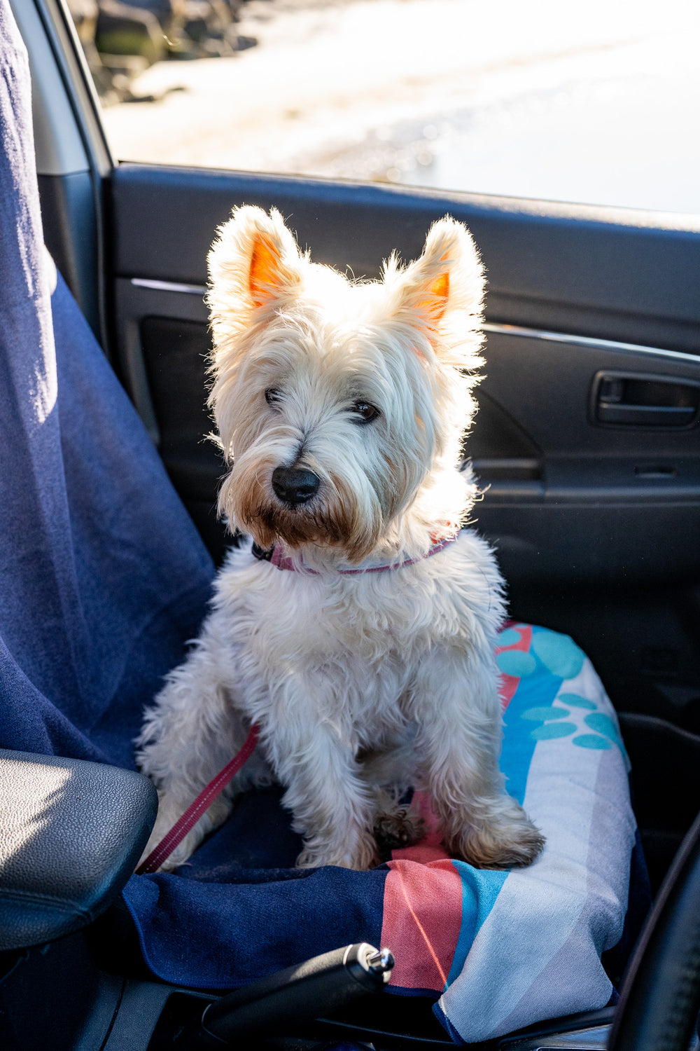 Unzipped, hood over the headrest