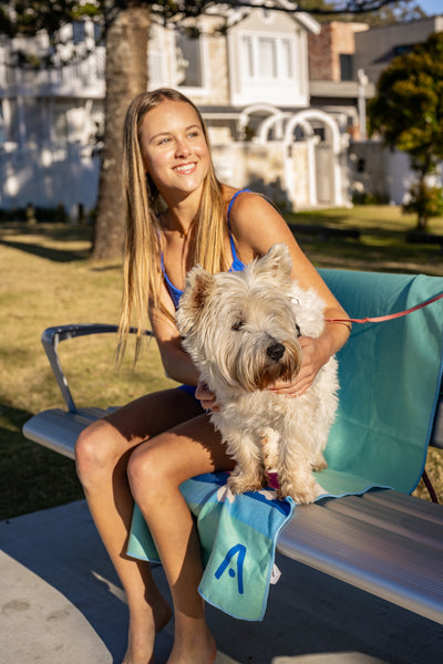 NEW -DOG CAR SEAT TOWEL - The SUNNY