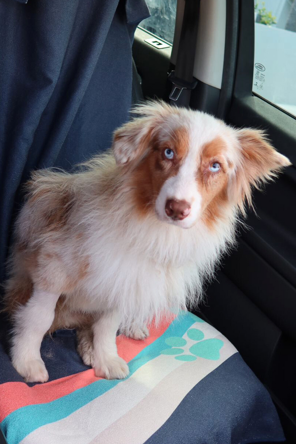 The soggy escape artist