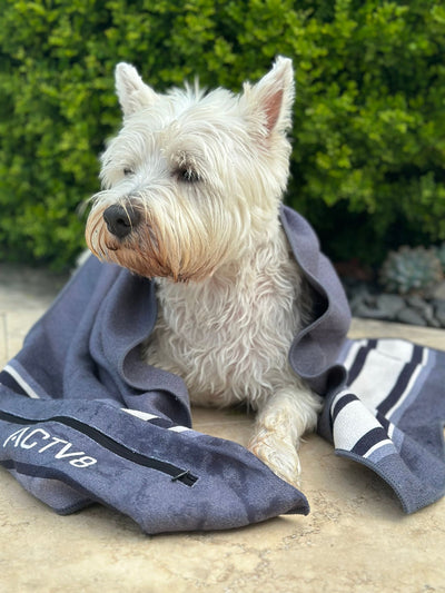 The Dog Towel ALLOY