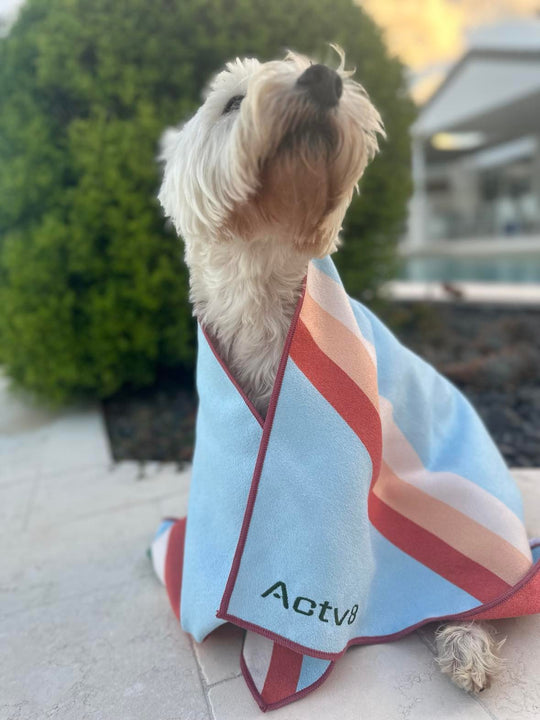 Dog Towel – Mini Size (100cm x 45cm) | Actv8
