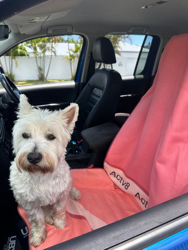 White terrier sitting on a coral Actv8 car seat towel